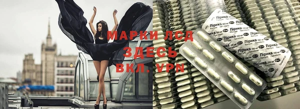 бошки Бородино