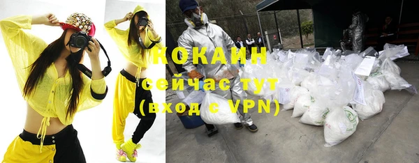 стаф Бугульма