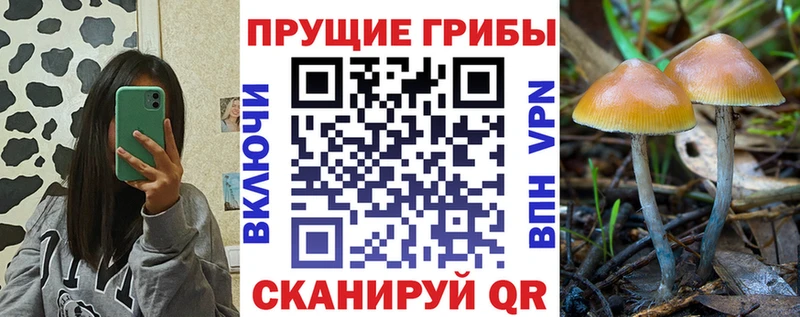Псилоцибиновые грибы GOLDEN TEACHER  Батайск 